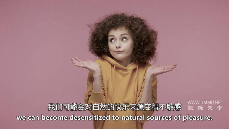 大不举时代 The Great Flop插图3