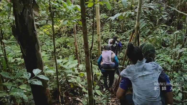 失落的孩子：亚马逊空难奇迹 2024 The Lost Children插图6