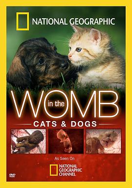 子宫日记：动物篇 Animals in the Womb插图