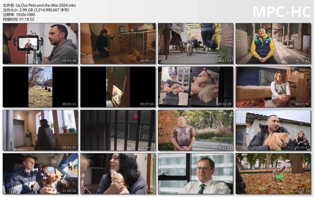 带着宠物躲战乱 Ми, наші улюбленці та війна插图1