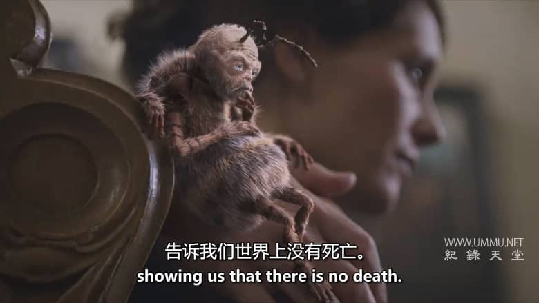 生命的意义和奥秘 The Meaning and Mystery of Life插图5