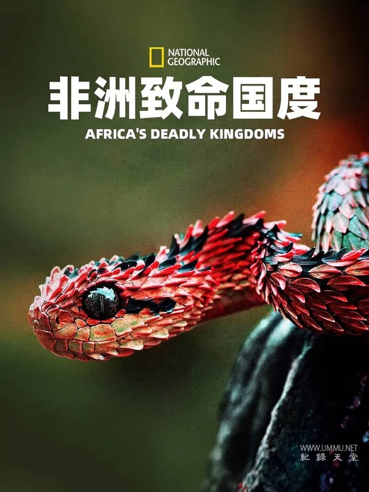 非洲致命国度 Africa's Deadly Kingdom插图