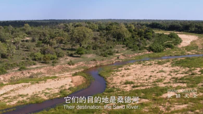 非洲致命国度 Africa's Deadly Kingdom插图1