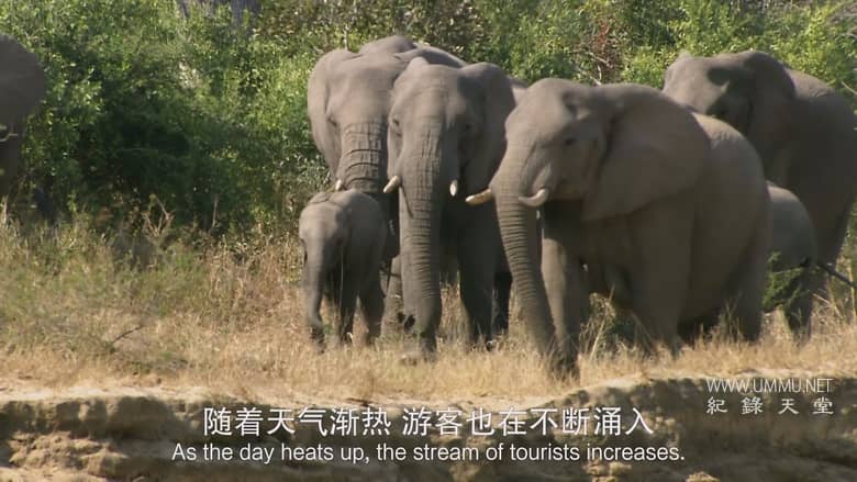 非洲致命国度 Africa's Deadly Kingdom插图2