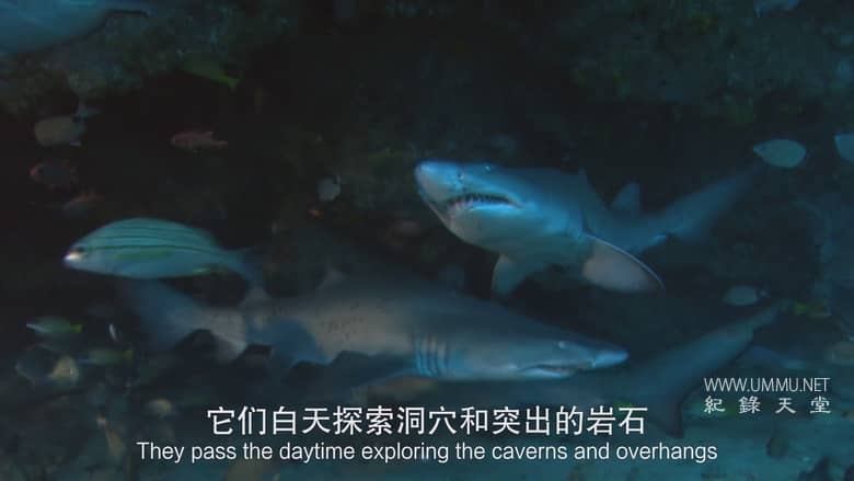 非洲致命国度 Africa's Deadly Kingdom插图6