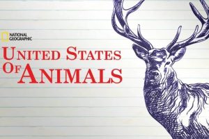 美国动物百科 United States of Animals