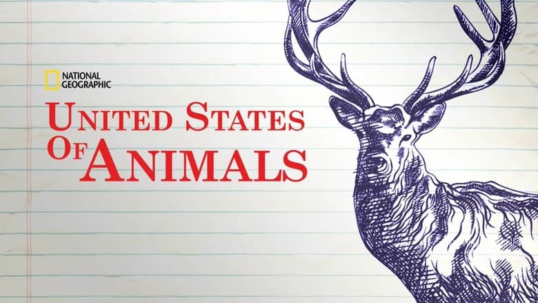 美国动物百科 United States of Animals插图