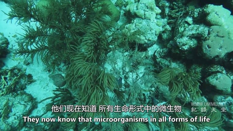 我们内心的病毒 The Virus Within Us插图1