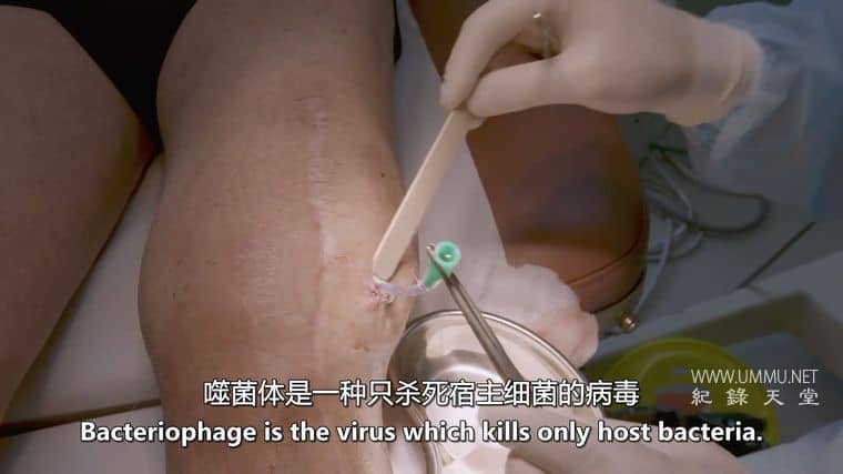 我们内心的病毒 The Virus Within Us插图2