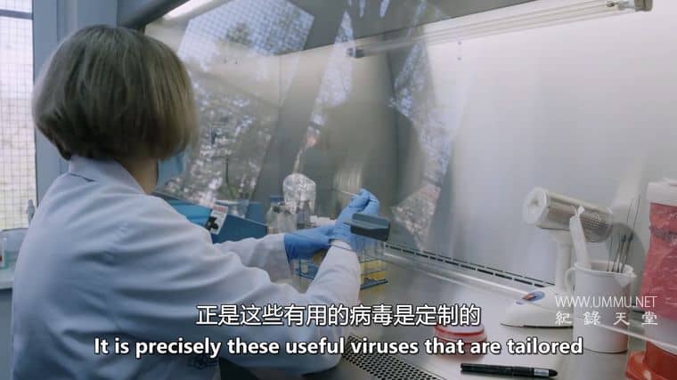 我们内心的病毒 The Virus Within Us插图3