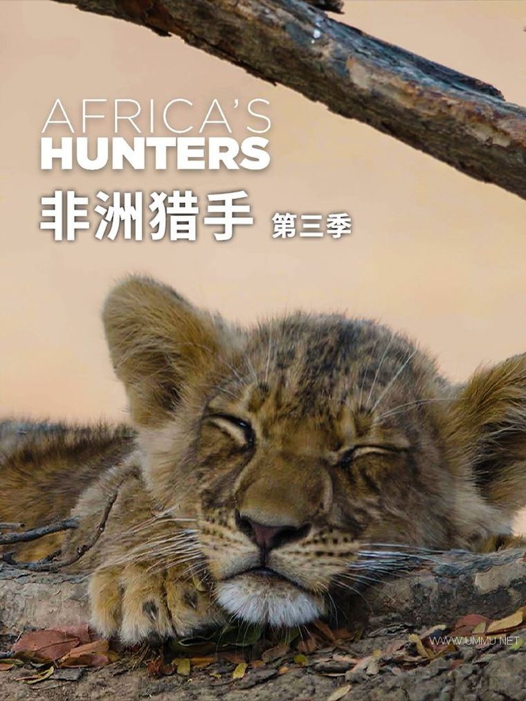 非洲猎手 第2-3季全12集   Africa's Hunters插图