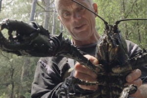 杰里米·维德 黑暗水域/深水探秘 Jeremy Wade’s Dark Waters 2018