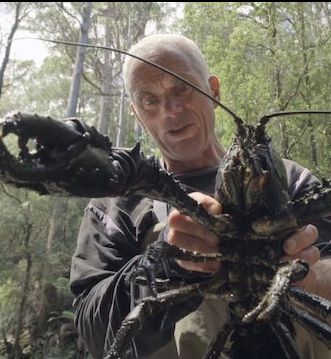 杰里米·维德 黑暗水域/深水探秘 Jeremy Wade’s Dark Waters 2018插图