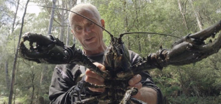 杰里米·维德 黑暗水域/深水探秘 Jeremy Wade’s Dark Waters 2018插图1