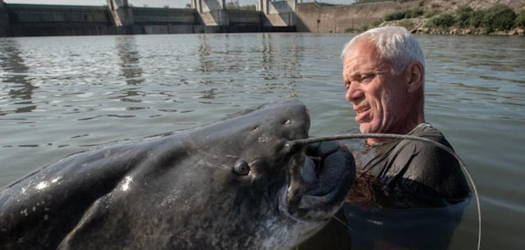 杰里米·维德 黑暗水域/深水探秘 Jeremy Wade’s Dark Waters 2018插图2