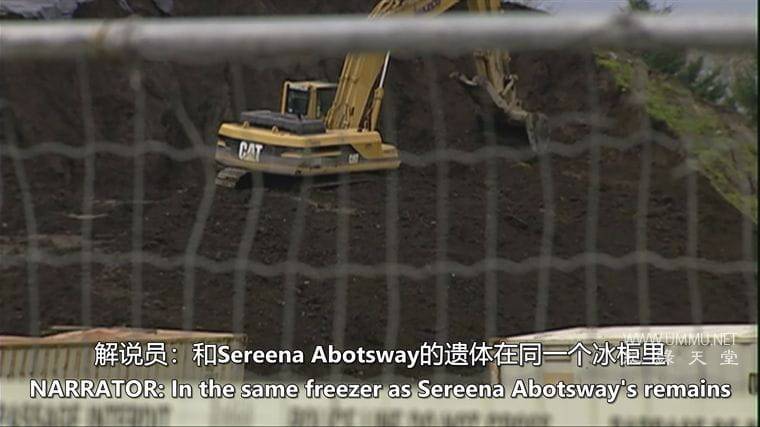 养猪场 The Pig Farm插图3