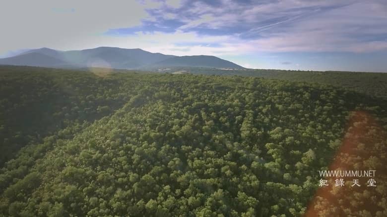 西班牙的神奇森林 The Magic Forest of Spain插图6