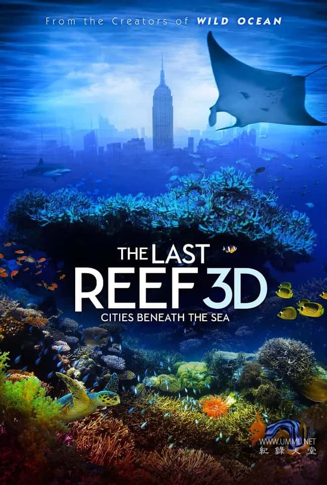 最后的珊瑚礁 The Last Reef: Cities Beneath the Sea插图