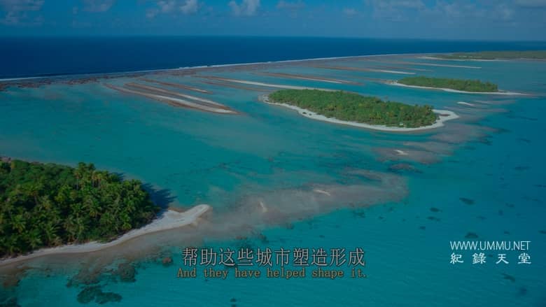 最后的珊瑚礁 The Last Reef: Cities Beneath the Sea插图1