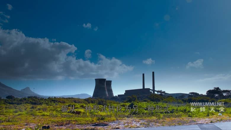 最后的珊瑚礁 The Last Reef: Cities Beneath the Sea插图5