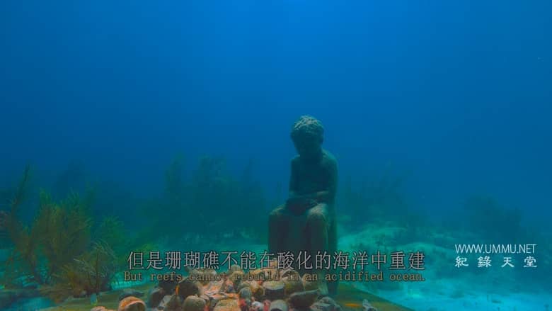最后的珊瑚礁 The Last Reef: Cities Beneath the Sea插图7