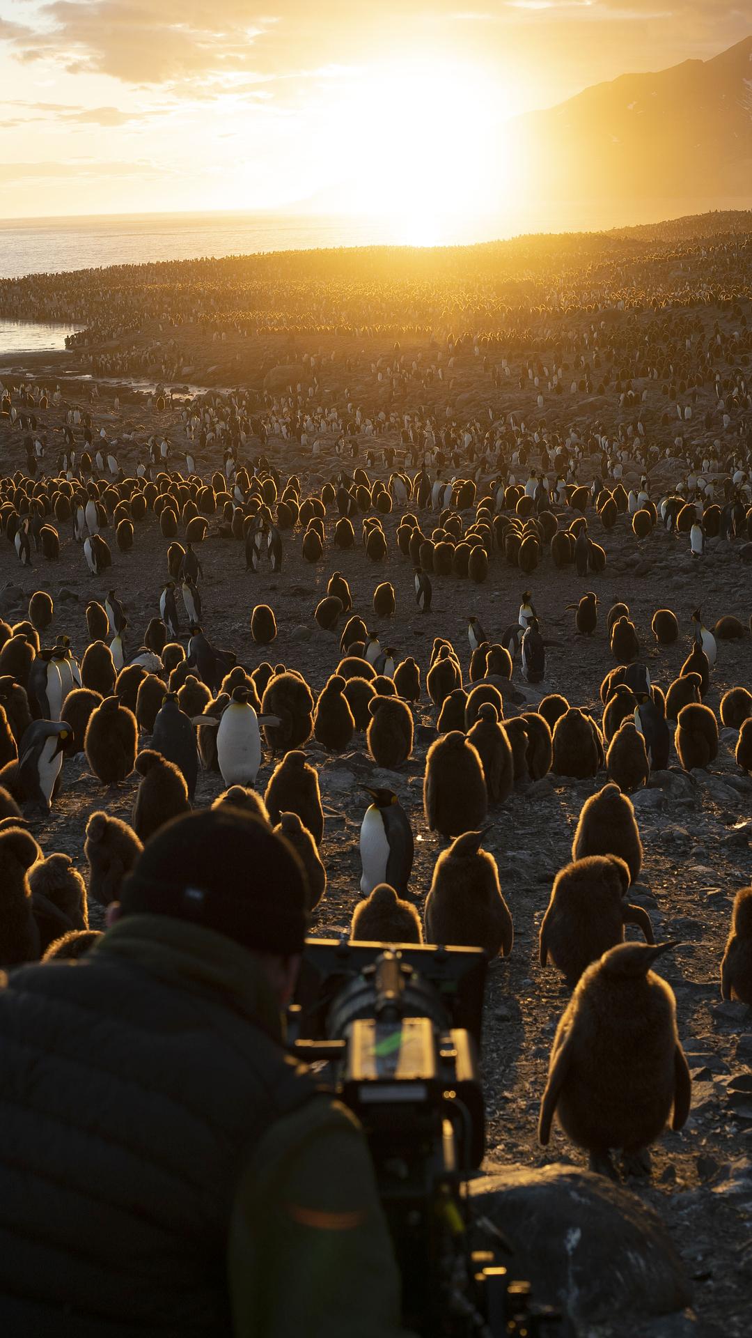 七个世界，一个星球 Seven Worlds, One Planet插图1