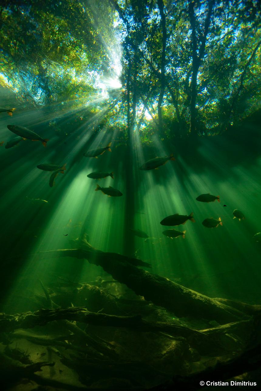 七个世界，一个星球 Seven Worlds, One Planet插图9