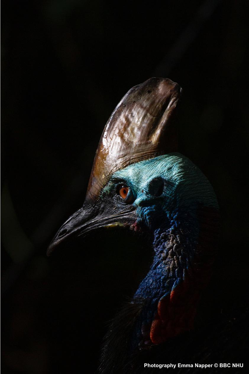 七个世界，一个星球 Seven Worlds, One Planet插图14