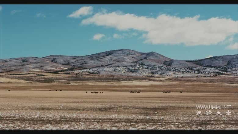 大盆地 The Great Basin插图1