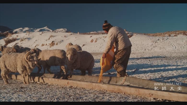 大盆地 The Great Basin插图2