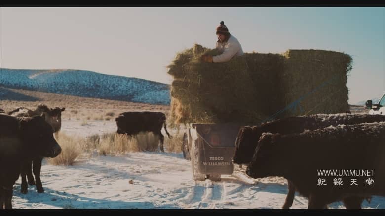 大盆地 The Great Basin插图3