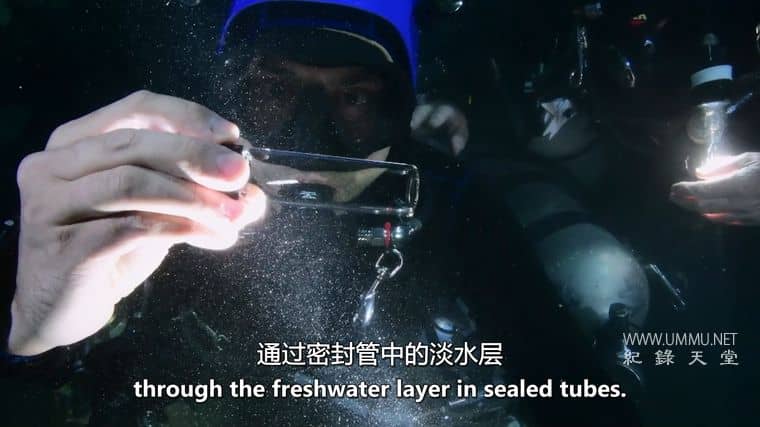 水的本质 The Essence of Water插图1