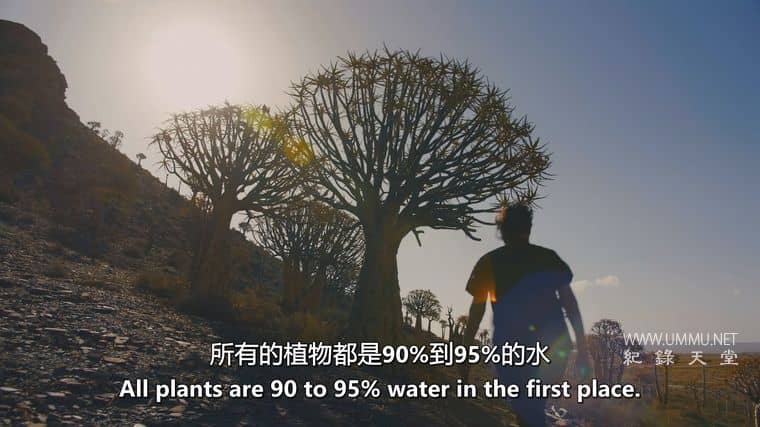 H2O：造就我们的分子 H2O: The Molecule That Made Us插图1