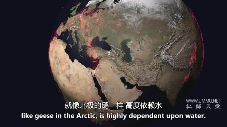 H2O：造就我们的分子 H2O: The Molecule That Made Us插图3