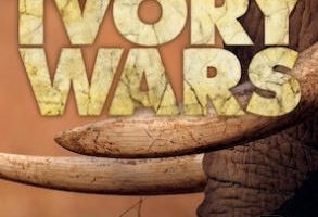 象牙战争 Ivory Wars 2013