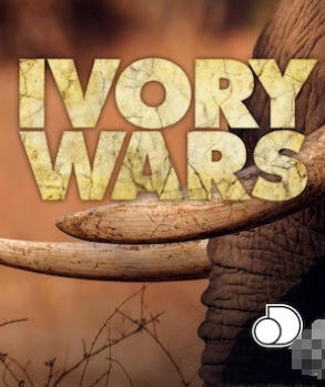 象牙战争 Ivory Wars 2013插图