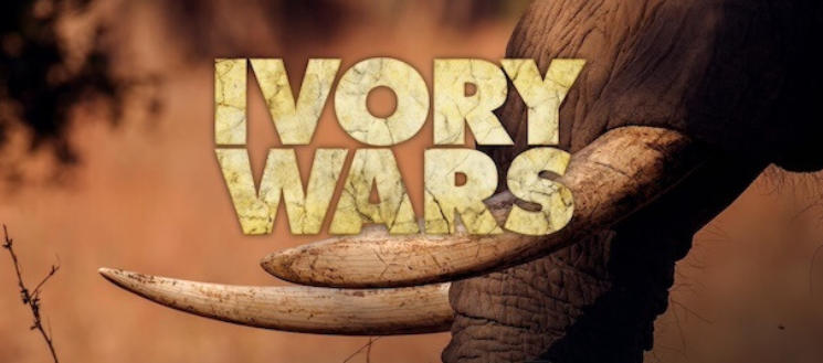 象牙战争 Ivory Wars 2013插图1