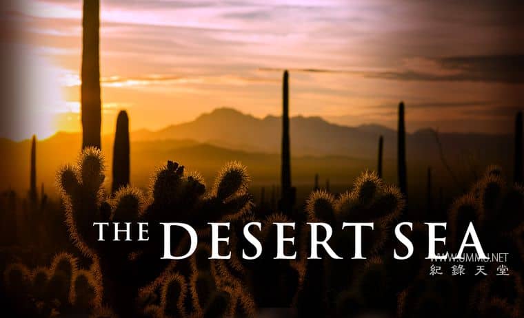 沙漠之海 The Desert Sea插图1