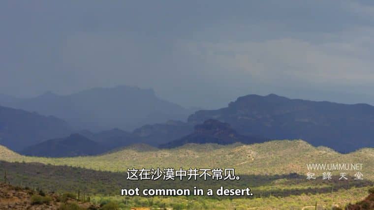 沙漠之海 The Desert Sea插图4