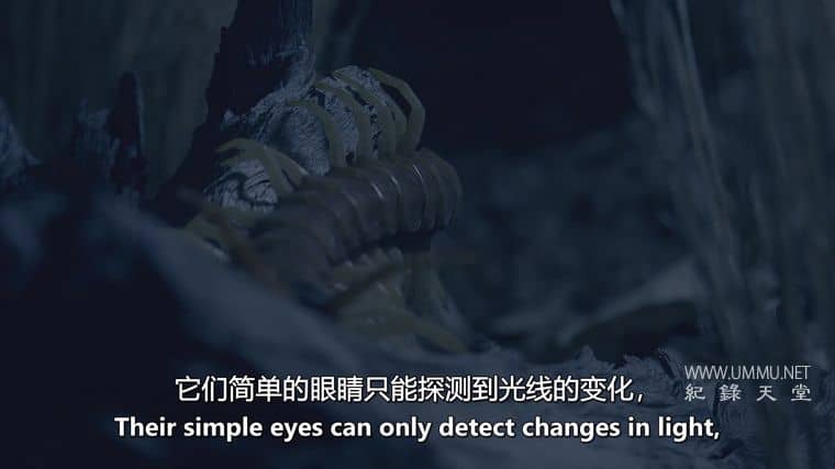 沙漠之海 The Desert Sea插图7