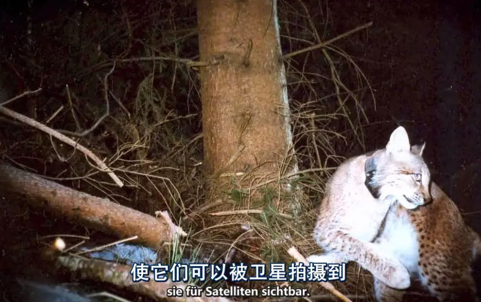 俯瞰德国 第二季 Deutschland von Oben Season 2插图4