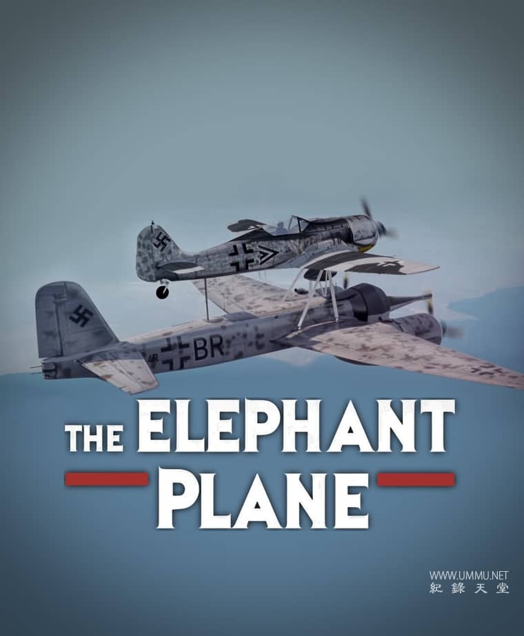 大象飞机 The Elephant Plane插图