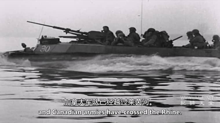 大象飞机 The Elephant Plane插图1