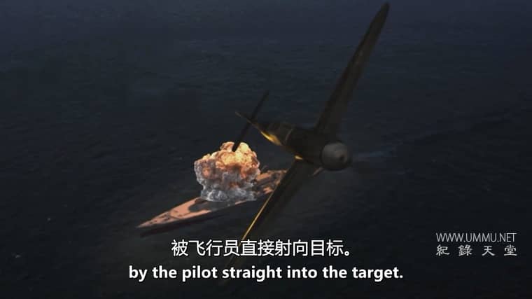 大象飞机 The Elephant Plane插图6