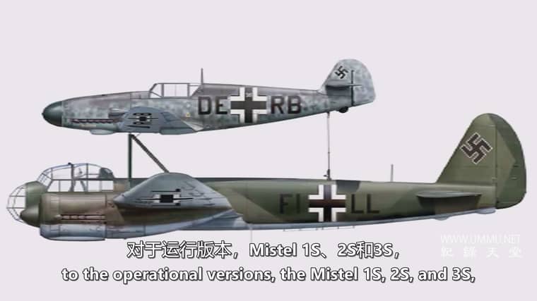 大象飞机 The Elephant Plane插图7