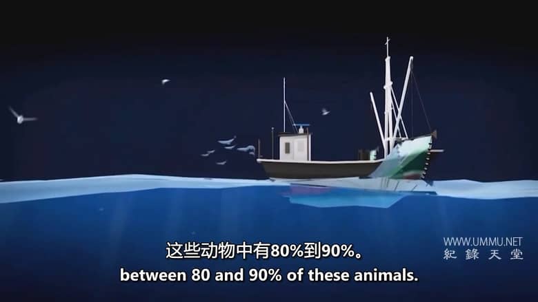 绿色浪潮 The Green Wave插图1