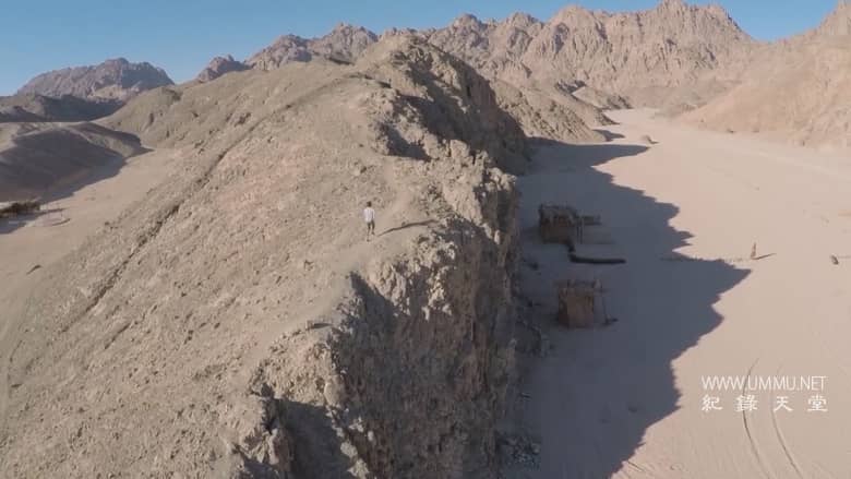 绿色浪潮 The Green Wave插图2