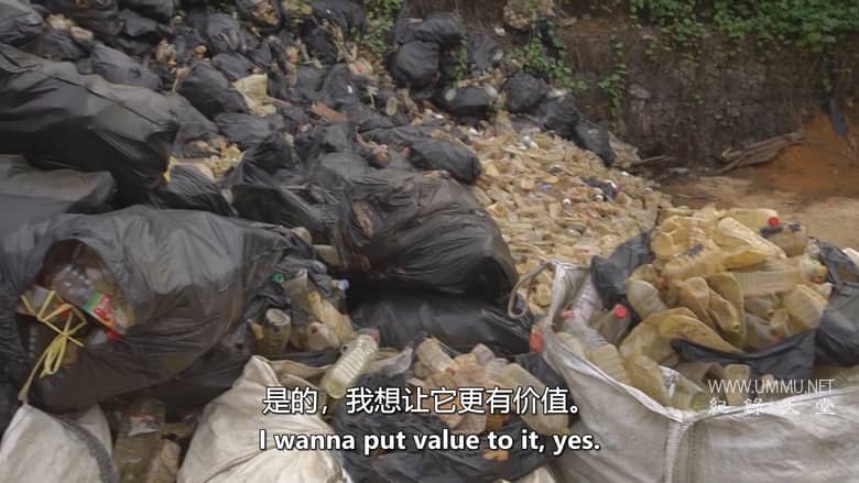 绿色浪潮 The Green Wave插图4