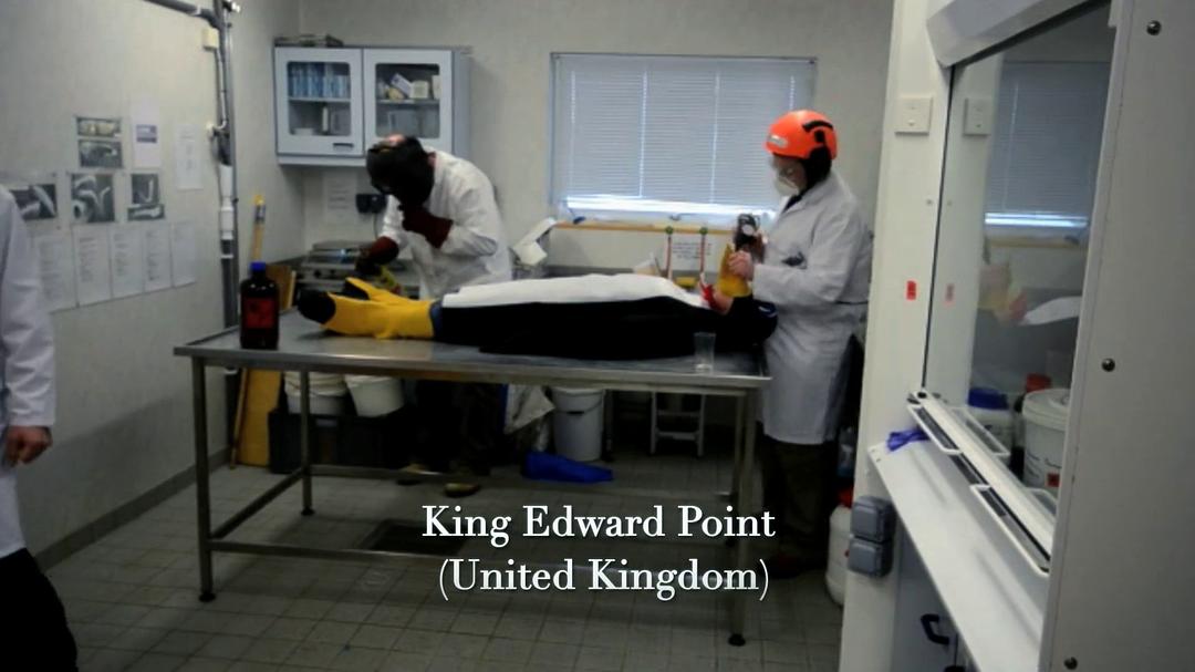 南极洲：冰上的一年 Antarctica: A Year on Ice插图5