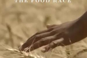 粮食竞争 The Food Race